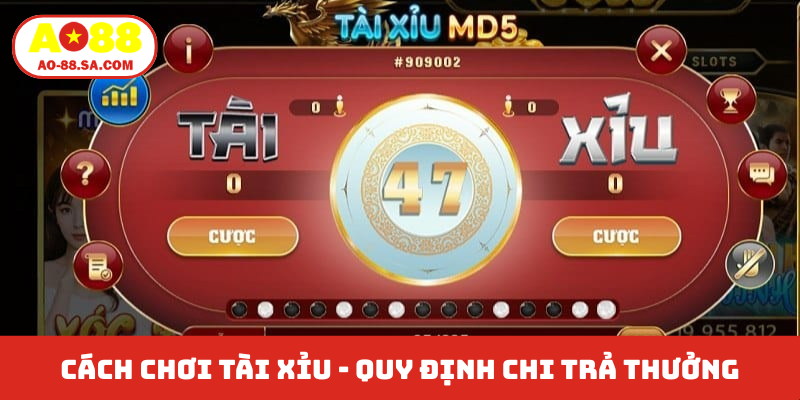 Cách chơi Tài Xỉu - Quy định chi trả thưởng