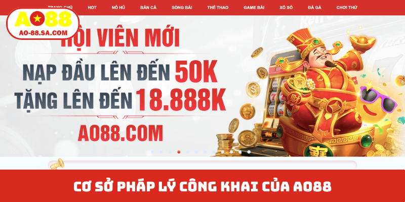 Cơ sở pháp lý công khai của AO88